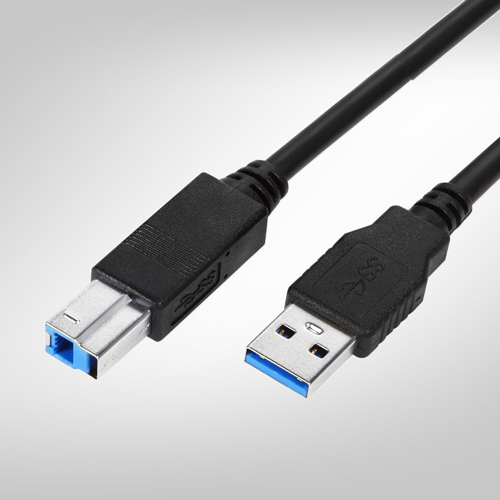 USB 3.1 AM – USB BM